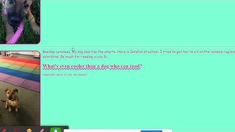 Unit 2 Lesson 13 Project