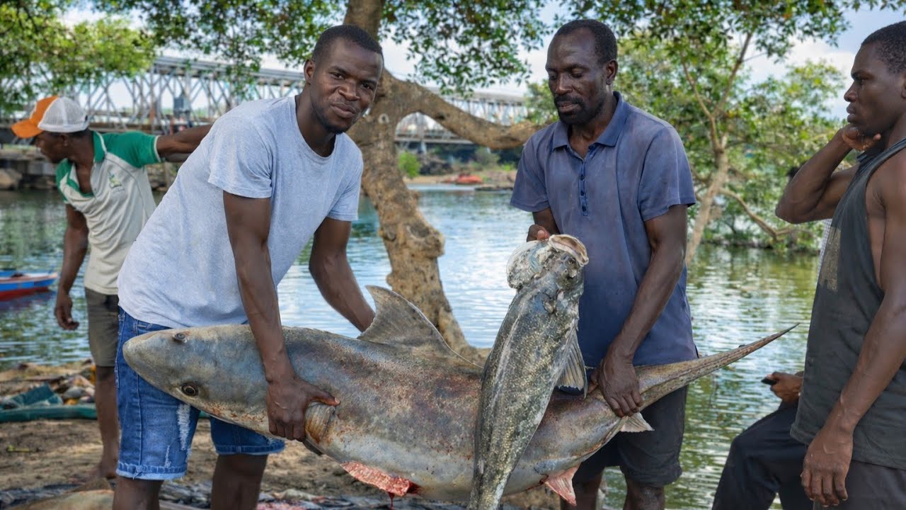Cruzando el río hacia Mopeia: descubriendo la vida de los pescadores en África