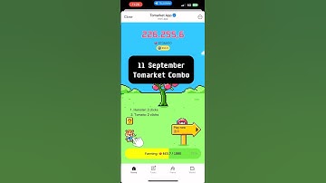 Tomarket Combo Today 11 September Secret Code Daily 11th #tomarket #tomato #airdrop