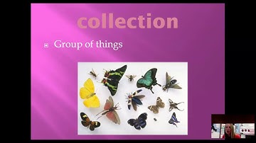 Vocabulary Intro- Prudy