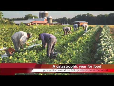 KTF News - Food Shocks Amid Climate Change