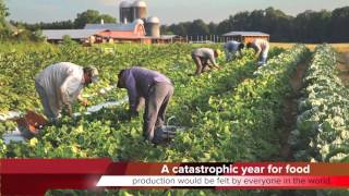 Ktf News - Food Shocks Amid Climate Change