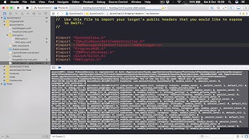 QuickChat 2.0 (whats app like chat app tutorials with call function on swift 3) setup part 4