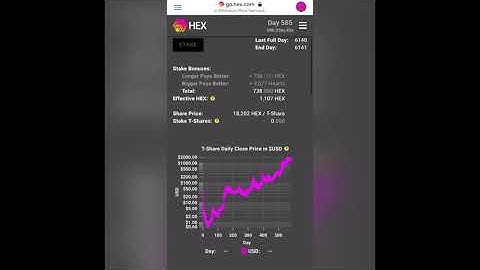 Staking Hex Crypto on Every Front End Part 1