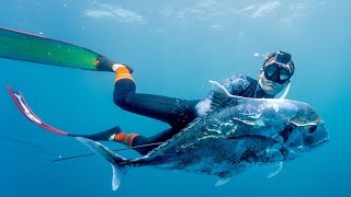 Spearfishing World War 2 Shipwrecks for Wahoo and Giant African Pompano - Tiger Shark Encounter!