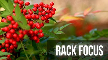 How to Rack Focus Your Camera Lens - 4 Methods Showing the Basics