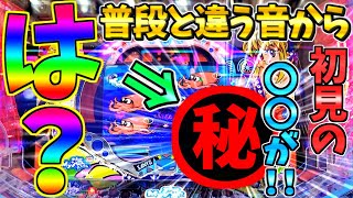 三味線 バチ 奇跡の逸品!ここまで綺麗な柄が出ている物は 三味線 バチ 奇跡の逸品!ここまで綺麗な柄が出ている物は