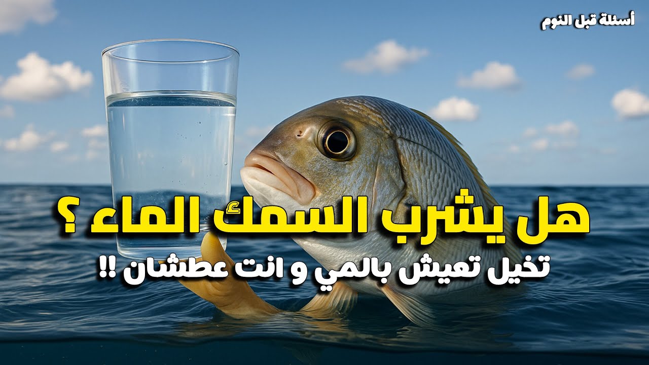 هل السمك يشرب الماء؟ أسرار الحياة تحت الماء والفرق بين المياه المالحة والعذبة