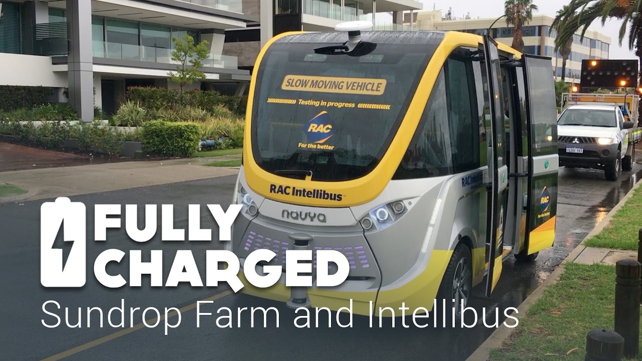 Sundrop Farm - Intellibus | Fully Charged