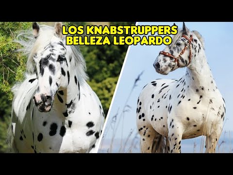 LA MAJESTUOSIDAD DE