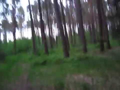 Hoia Baciu Forest The Infamous Notorious Circle Of Romania 15 Youtube Hoia Baciu Forest The Infamous Notorious Circle Of Romania 15 Youtube
