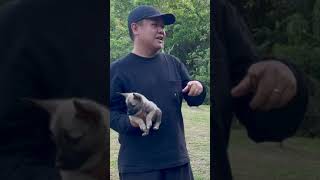 BUHAWI by Supero Dog Farm 883 views 1 month ago 5 minutes, 7 seconds