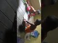 রাহেলার হানিফ লেখাপড়া করছে