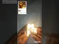 fairy light #meesho #shots #viralvideo #trending