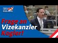 Volker Reifenberger (FPÖ) - Frage an Vizekanzler Kogler