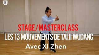MASTER CLASS 13 MOUVEMENTS DE TAI JI DE WUDANG avec XI Zhen
