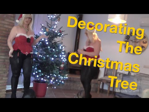 Decorating The Christmas Tree