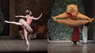 The Nutcracker  Toys Dances (Boston Ballet, ABT/Baryshnikov, Berlin Staatsballet)