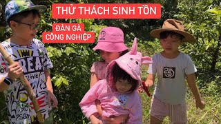 Khương Dừa dẫn đàn gà công nghiệp đi sinh tồn, Trà Sữa theo giữ mấy em thấy thương ghê