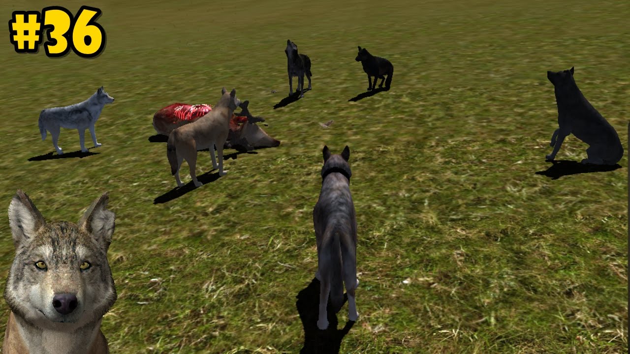 Wolf Quest Vore