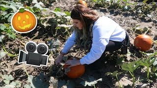 Pumpkin Patch and Apple Picking | Vlog
