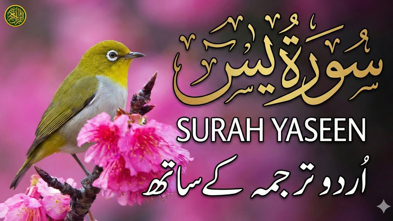 Surah Yaseen (سورة يس) - Beautiful Recitation with Urdu Translation | Qari Mansoor Ghaznavi | EPs 25