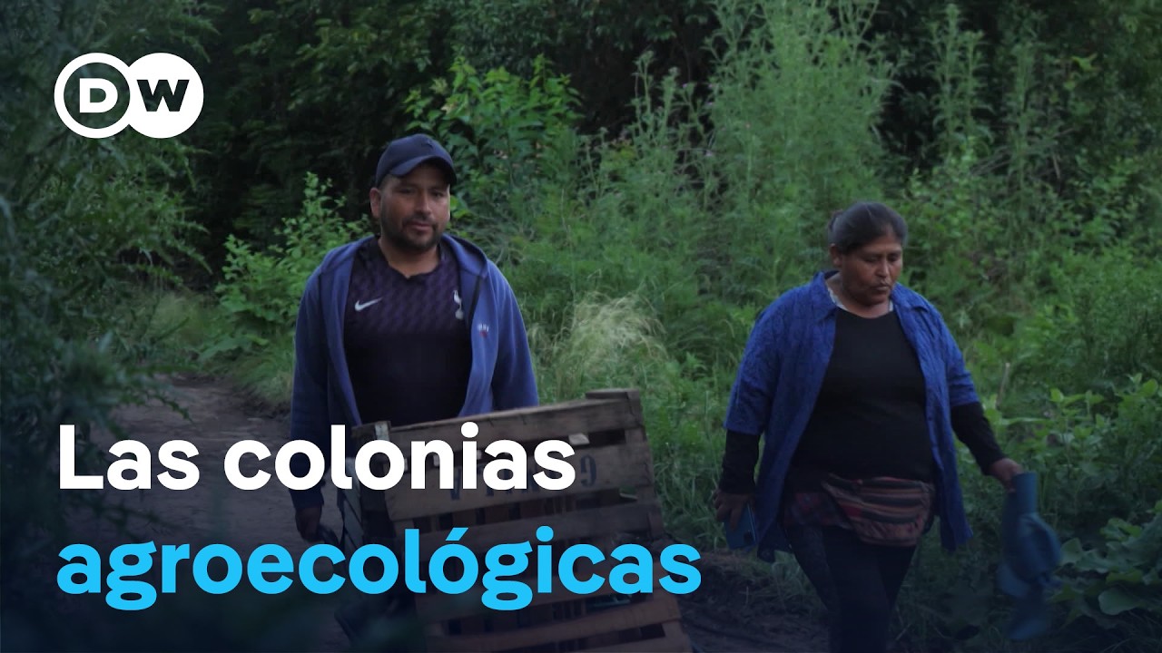 La experiencia argentina destacada por la ONU