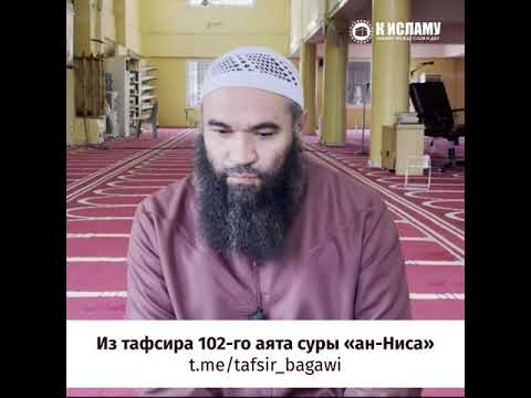 Видео: Амтат амттан: дарсны сироптой чавга