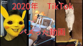 【TikTok】今月のバズり動画【2020年12月】