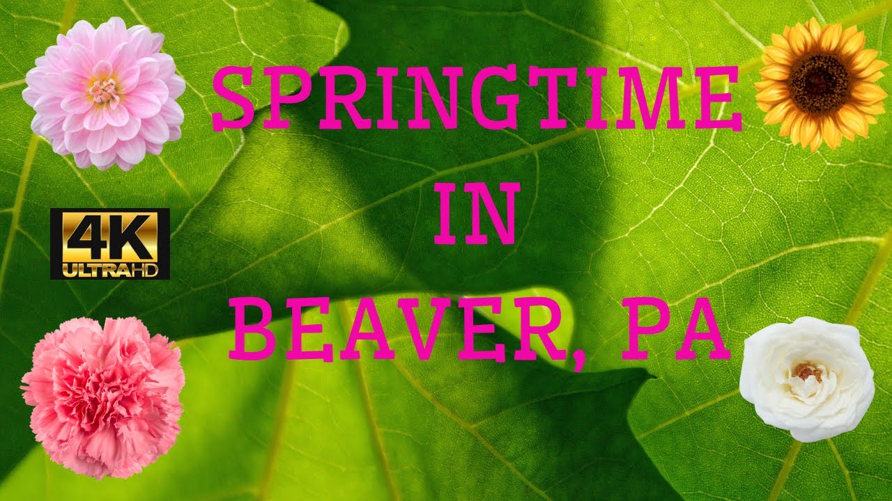 A RAINY&GREEN SPRING SATURDAY AFTERNOON IN BEAVER, PA (Part 2) 🌼🌸🌺🌻🌷💮☔🌈 (4K 📽)