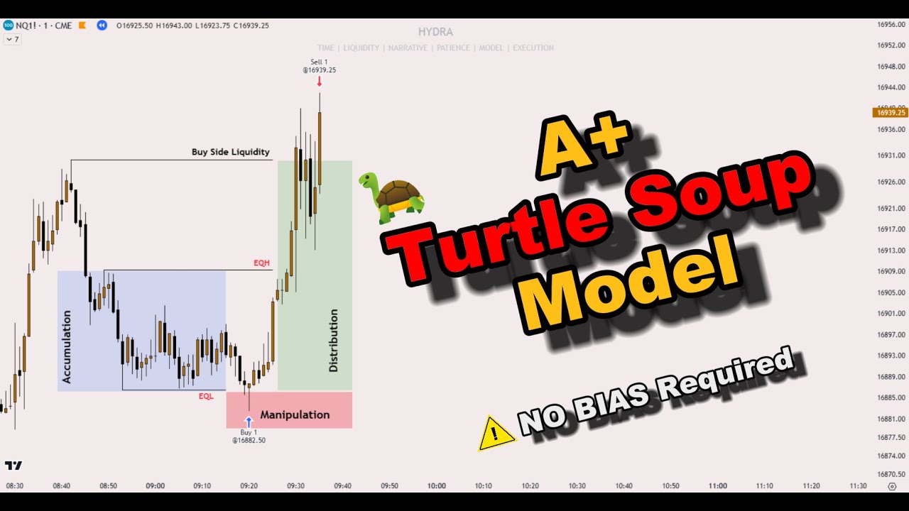 Модель супа «Черепаха» A+ — не требуется предвзятость [концепция ИКТ]