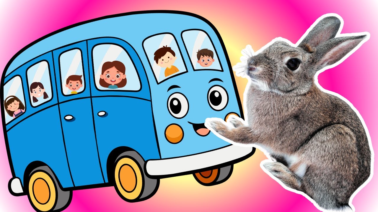 Wheels on the Bus | with Little Bunny-Toddler Learning Video Songs ...