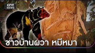ชาวบ้านผวา "หมีหมา" ตะปบต้นทุเรียนหัก | ข่าวเช้าช่องวัน | สำนักข่าววันนิวส์