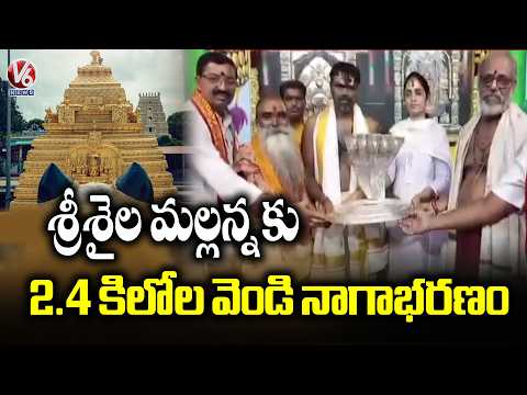 Hyderabad Couple Donates 2.4 Kg Silver Nagabharanam to Srisailam Temple  | V6 News - V6NEWSTELUGU