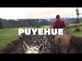 Puyehue, termas y relajo en el sur de Chile - GoCarlos