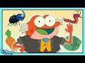 Amphibia Food! | Vlog from the Bog | Amphibia | Disney Channel Animation