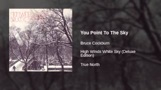 Watch Bruce Cockburn You Point To The Sky video