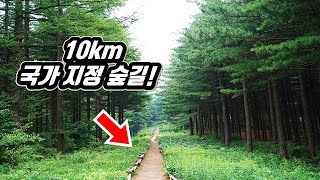 Ancient Trekking Course in KOREA