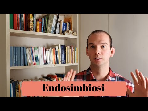 Video: Differenza Tra Endosimbiosi E Simbiosi