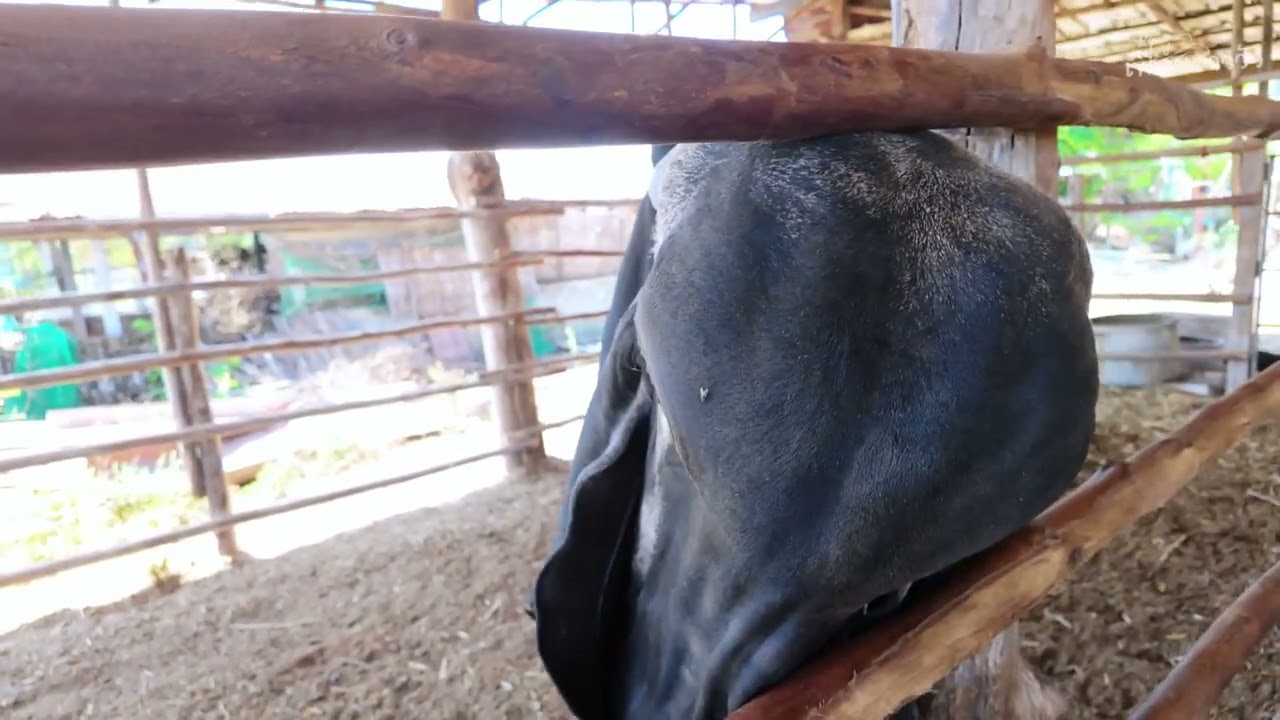 ราคานี้มีแต่เกิน