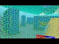 Playing animal rivals 25 subs