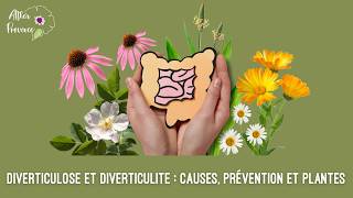 Diverticulose et diverticulite   causes, prévention et plantes
