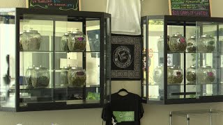Proposal would limit new Montana marijuana licenses for 2 more years