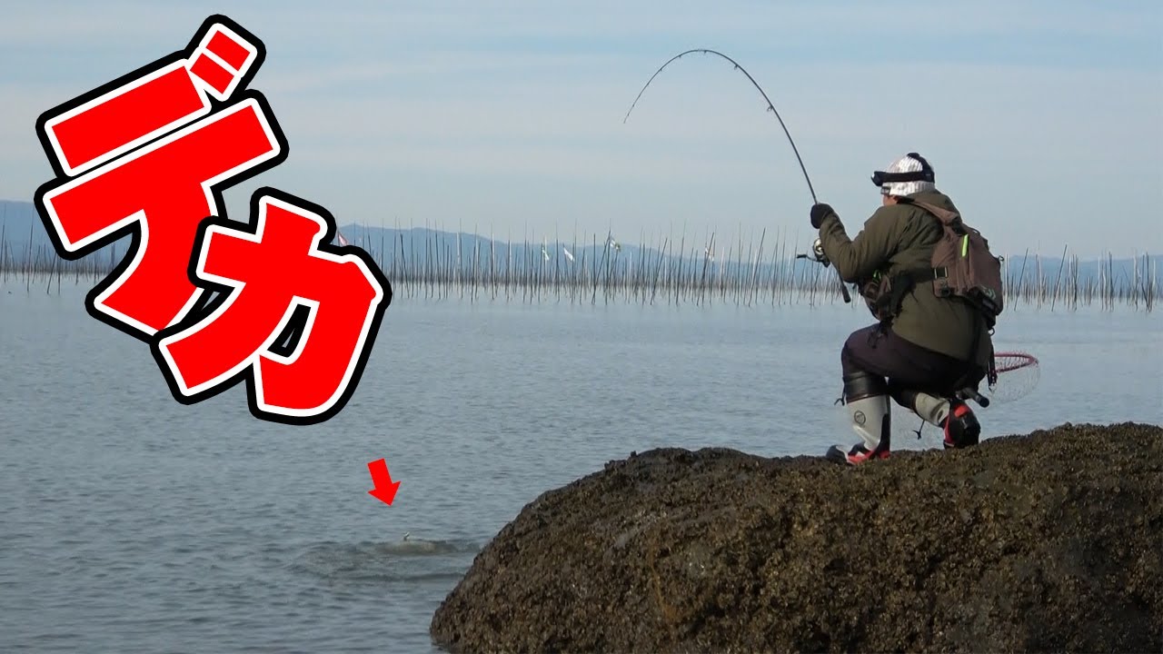 エイじゃない‼有明海で初めてショアジギングしたらまさかのサイズの巨大魚が…