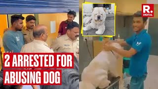 Thane Pet Clinic Workers Arrested For Abusing Dog After Video Goes Viral screenshot 5