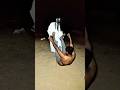Bhoot #GhostVideo #ScaryVideo #Haunted #Paranormal #CCTVGhost #ViralVideo #shorts #ytshorts #viral