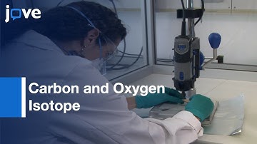 Stable Carbon and Oxygen Isotope Analysis from Tooth Enamel Carbonate | Protocol Preview