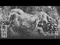 Miniature de la vidéo de la chanson Wildlife