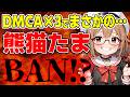 【悲報】熊猫たまチャンネル終了のお知らせ!?/ 桜木スイ【時事ニュース】