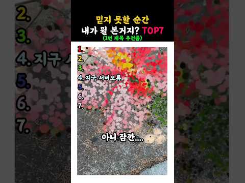 지구 버그났네 또